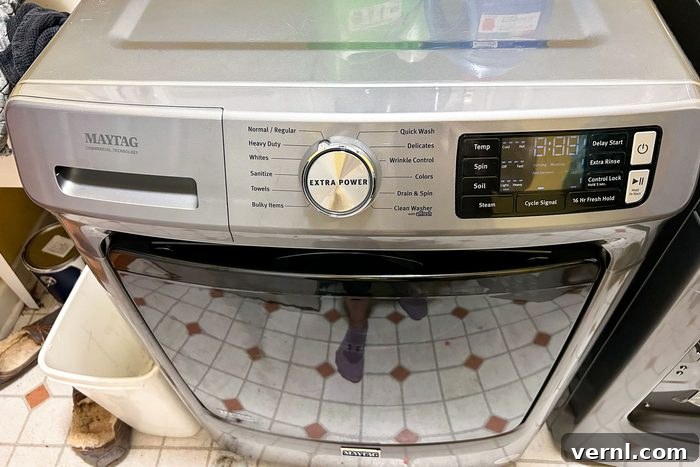 Maytag Washer and Dryer Review Timeless Reliability 6 Close-up of Maytag Front Load Washer control panel and door.