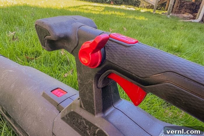 My Full Review of the New Toro Cordless Leaf Blower 3 Toro Flex Force 60 Volt Max 900 Cfm 165 Mph Battery Handheld Leaf Blower Features