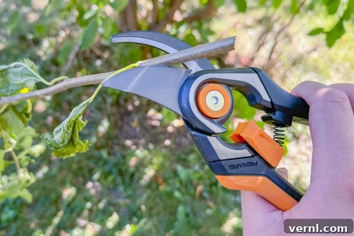 Fiskars Pruners: Our Verdict on Value and Performance 2 Fiskars Pruners Review Softgrip Touch Points