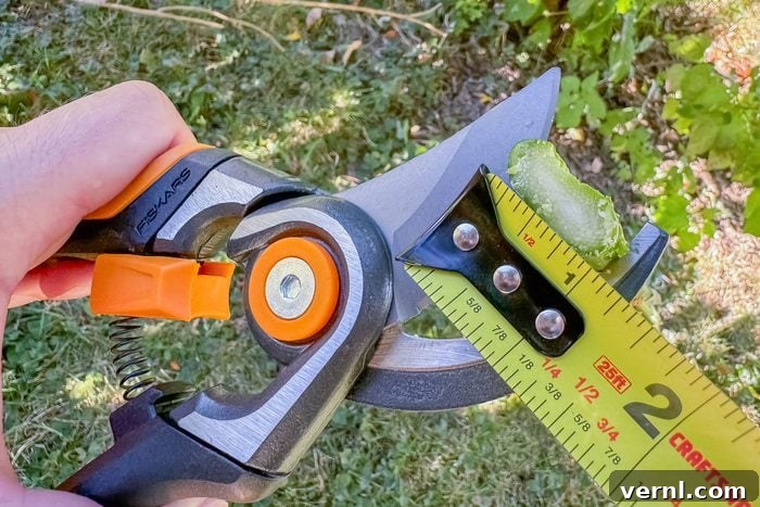 Fiskars Pruners: Our Verdict on Value and Performance 4 Fiskars Pruners Review Final Verdict