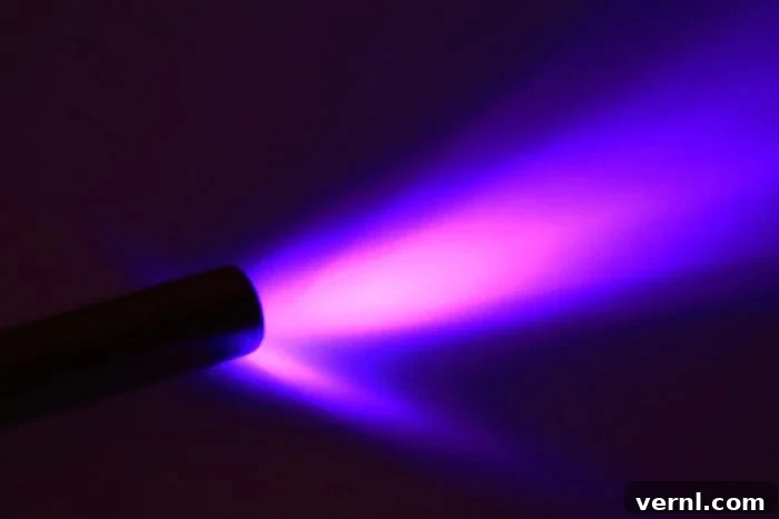 UV Light for Mold Removal Fact or Fiction 2 Does UV Light Kill Mold GetExpertInsights