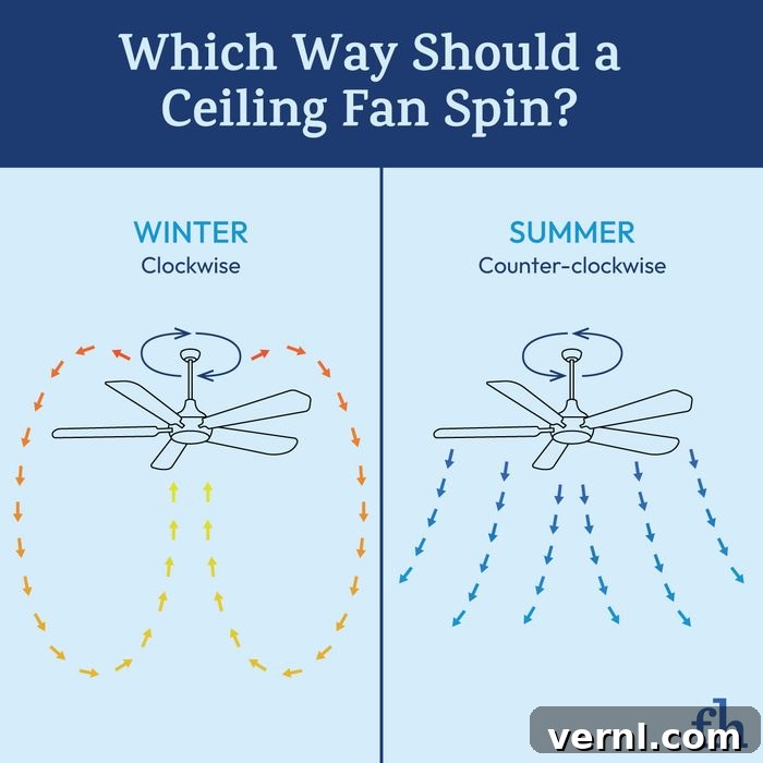 The Right Direction for Your Ceiling Fan 2 Illustration showing which way A Ceiling Fan should Spin in Summer and Winter