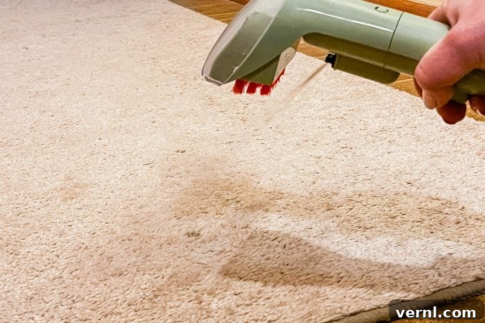 Bissell Little Green Portable Carpet Cleaner