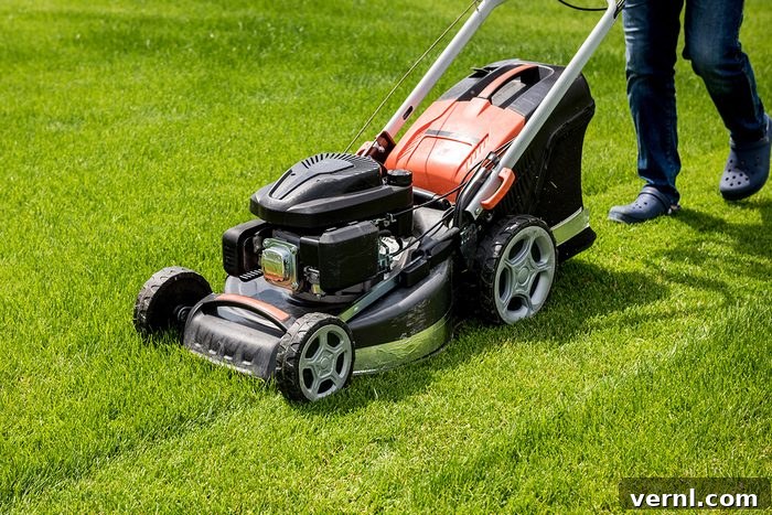 The Ultimate Seasonal Lawn Transformation 2 How To Supercharge Your Yard This Season Gettyimages 1253105003