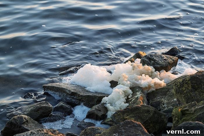 Cancer-Causing Toxins Taint Water in 19 States 2 The foam is a result of algae decomposition and may be contaminated with PFAS.