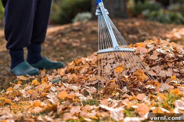 Why You Should Stop Raking Your Leaves In The Fall