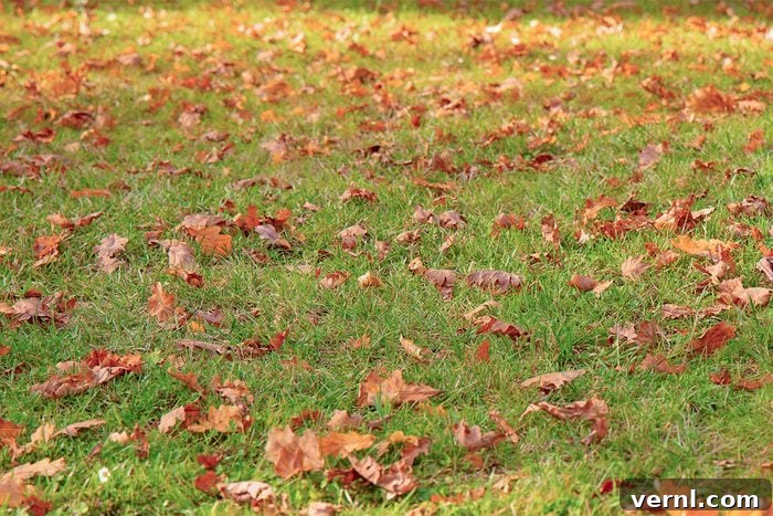 When You Can't Leave All the Leaves