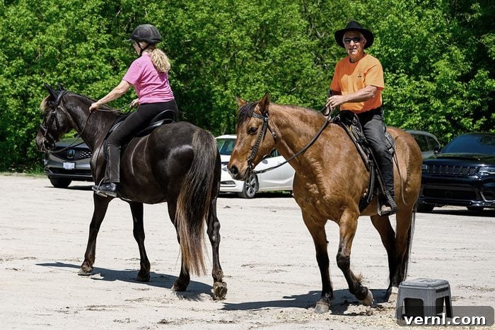 11 Bizarre Driving Laws Still on the Books 5 An abstract image of a horse galloping on a road, representing the historical but still relevant Canadian horse traffic law.