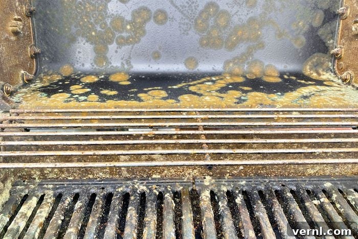 What's That Green Grime On Your Grill Really Telling You? 2 The Weird Green Stuff On My Grill