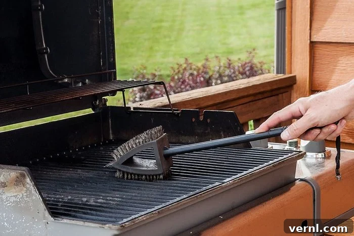 What's That Green Grime On Your Grill Really Telling You? 3 Weird Green Stuff On My Grill
