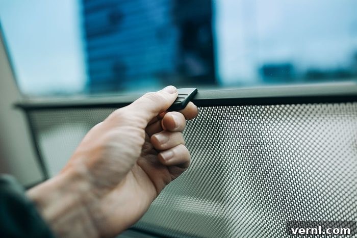 Beyond the Chill The Unexpected Value of Car Sun Shades 2 Hand hold car side window curtains sunshades. Insect screen at the car