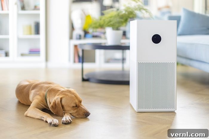 Dog sleeping on the floor in living room with an air purifier near to it
