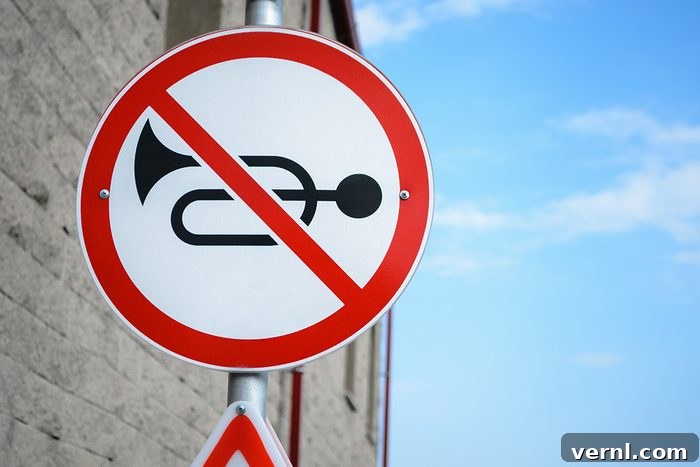Honking Etiquette What Really Counts As Road Rage