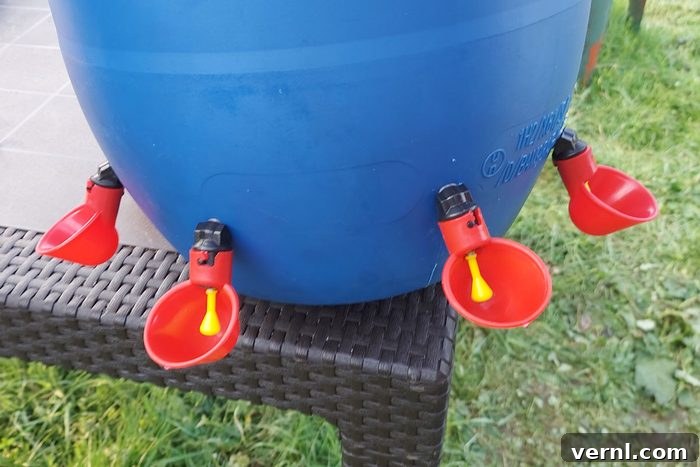 Winter Proofing Your Chicken Coop: Keep Your Flock Toasty All Season 3 homemade chicken waterer