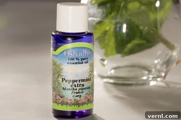 Fortifying Your Food Haven: Top Tips for a Pest-Free Pantry 4 Natural pest deterrents