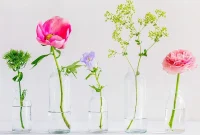 The Floral Forecast: 2026’s Must-Have Bloom