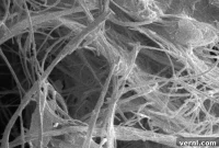 What to Do If You Suspect Asbestos Beneath Your Tiles