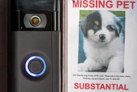 Does Ring’s Lost Dog Feature Sacrifice Privacy for Puppy Love?
