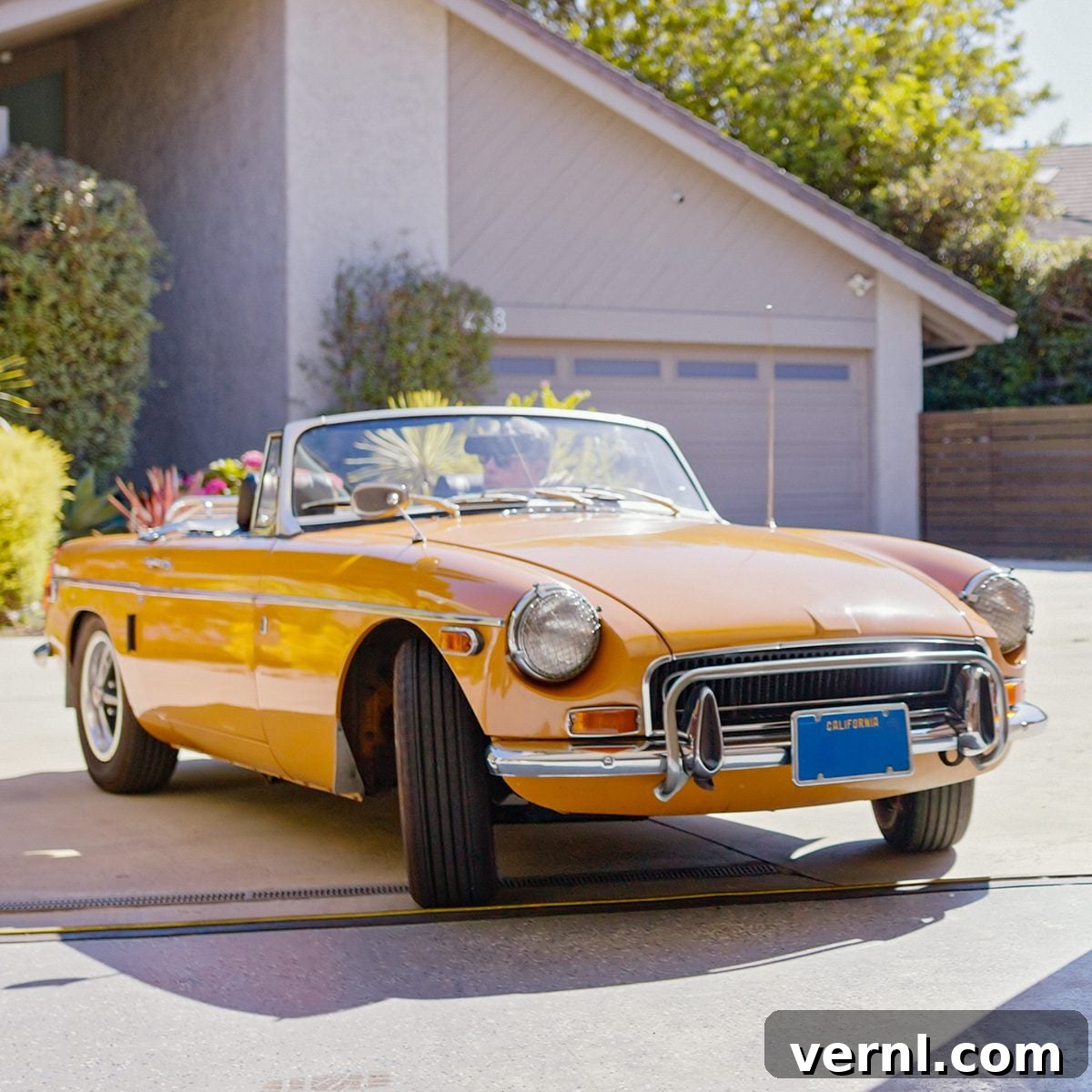 featured 702827