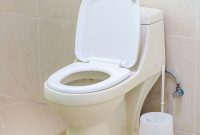 Toilet Seat Trouble? Recognize the Signs for a Timely Replacement