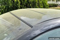 Pollen Proofing Your Car: Cleanliness Inside and Out