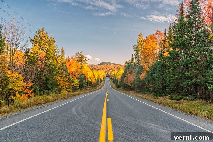 The Road to Greenville Maine