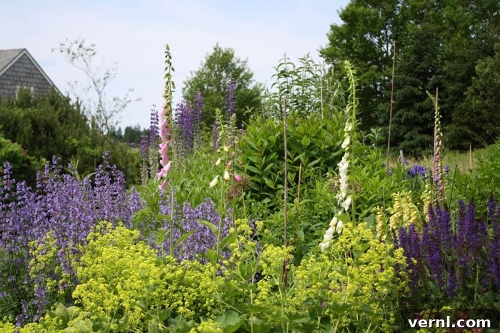 Outsmarting Drought: Practical Water Saving for Your Home 3 Colorful flowers bloom in a garden, swaying gently in a light breeze, surrounded by lush greenery and a glimpse of a house in the background, promoting sustainable landscaping.