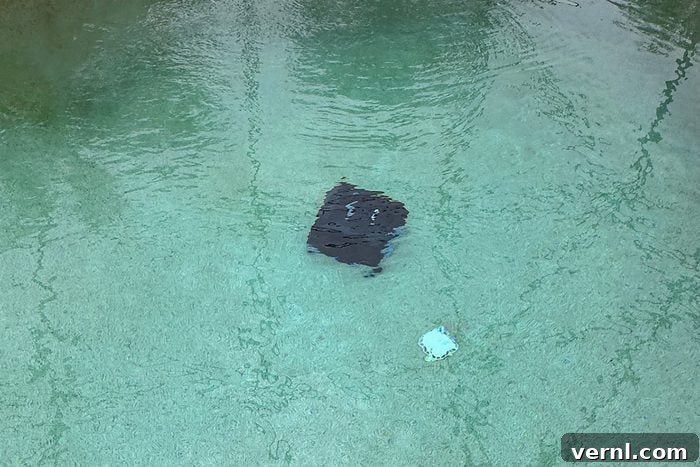 Beatbot AquaSense 2 Pro Review: Smart Pool Upgrade Worth It? 3 Fhma25 Beatbot Aquasense 2 Pro Marisa Hillman 03 Ssedit