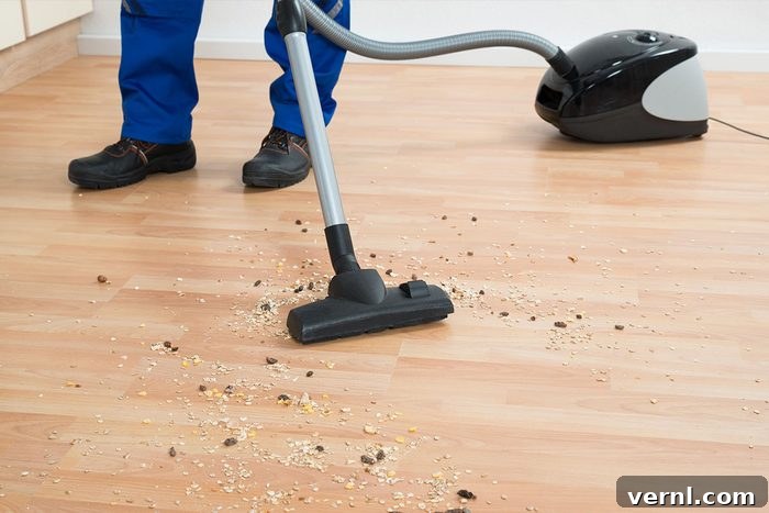 Why You Should Never Sweep Up Mouse Droppings—What to Do Instead 2 Wrong Way To Clean Mouse Droppings Gettyimages 585809934