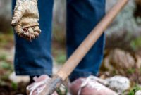 Stopping Jumping Worms: How to Protect Your Garden and Soil