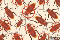 Why Someone Smuggled 100,000 Cockroaches Into Australia