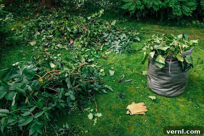 Garden Clean Up of sticks and garden gloves on yard