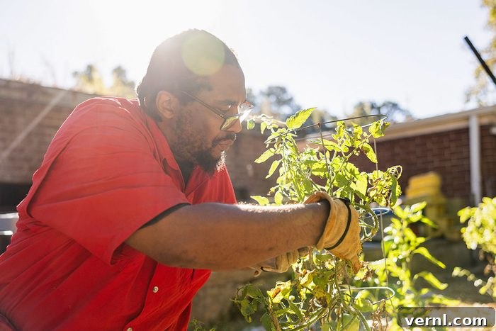 Male urban farmer working in backyard garden