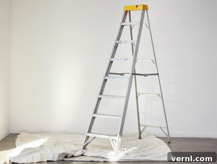 Ladder, room interior and home renovation project for wall painting or repair with no people. Isolated, property development and apartment building diy with sheet for paint process in a house