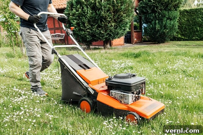 A man mows the grass with an electric lawn mower