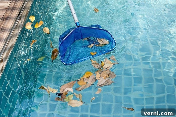 Lincoln Memorial Algae: Lessons for Water Feature Maintenance 3 Cleaning swimming pool of fallen leaves with blue skimmer