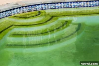 When Algae Turns Dangerous: Recognizing Health Risks