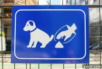 Pet Waste Laws and Etiquette Every Neighbor Should Know