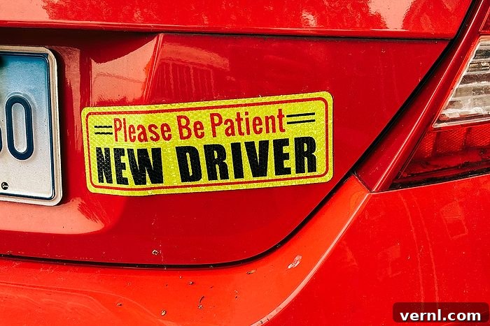 Please Be Patient, New Driver Bumper Sticker On Car, Queens, New York
