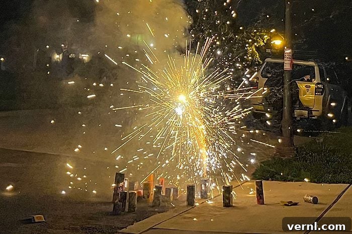 Summer Firework Safety: Tips to Stay Safe All Season 4 Playful and whimsical view of fireworks on a dark summer night. Celebrating Fourth of July and playing with fireworks.