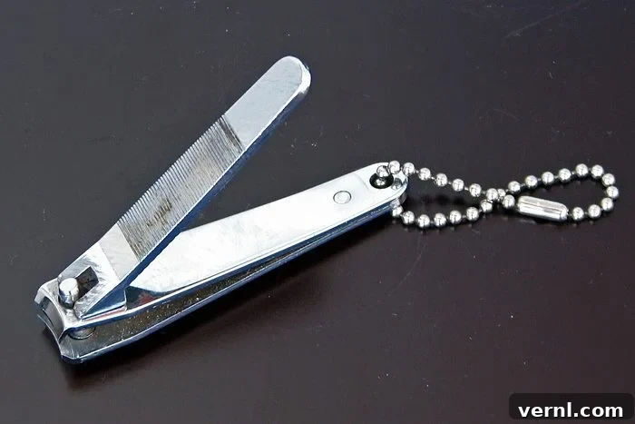 Why Nail Clippers Have a Small Hole at the End 2 Nail clipper