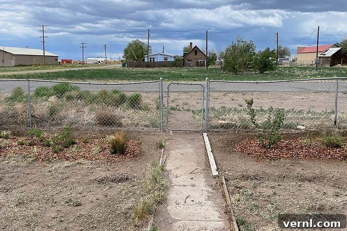 What Happened When I Replaced My Lawn With a Wildflower Meadow 2 tumbleweed in front yard of a house with rural landscape in the background
