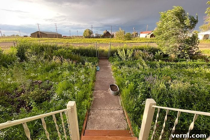 What Happened When I Replaced My Lawn With a Wildflower Meadow 4 Steps leading to a wildflower meadow with rural landscape in the background