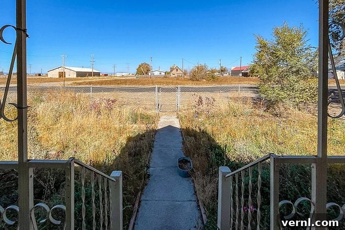 What Happened When I Replaced My Lawn With a Wildflower Meadow 7 dormant lawn in the front yard of a house