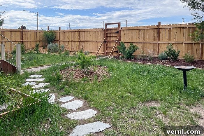 What Happened When I Replaced My Lawn With a Wildflower Meadow 9 rock pathway in a yard lawn with border fence
