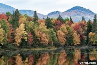 How Climate Conditions Could Dim This Year’s Fall Foliage