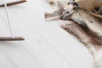 5 Dog-Friendly UK Stays Perfect for You and Your Dog