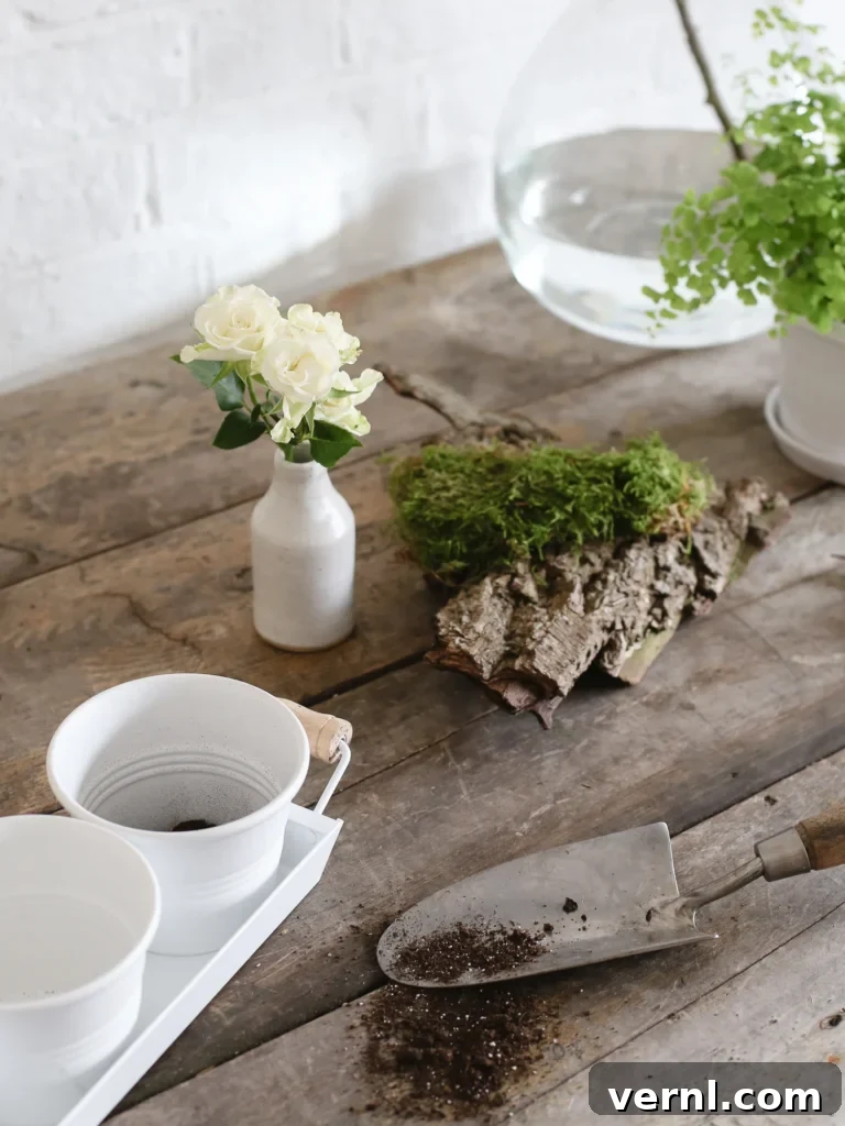 Choose the Right Vase for Your Flowers: Shape, Size & Style 6 img 825 5